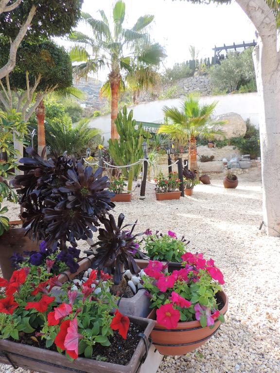 Hotel Las Calas Агуа-Амарга Экстерьер фото